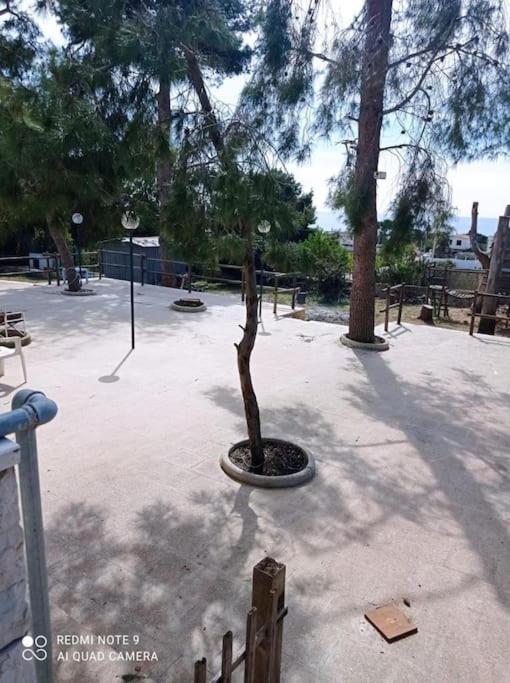 Appartamento In Villa Con Pineta Лепорано Екстериор снимка